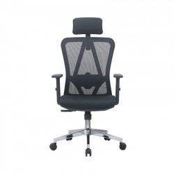 Ghế Công Thái Học Eergonomic E-Dra EEC213 Black